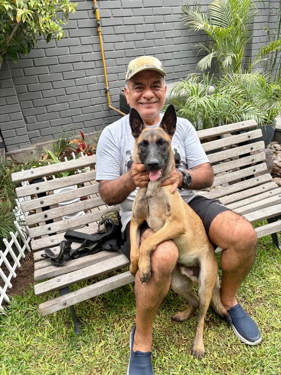 César Astudillo Salcedo tweet media