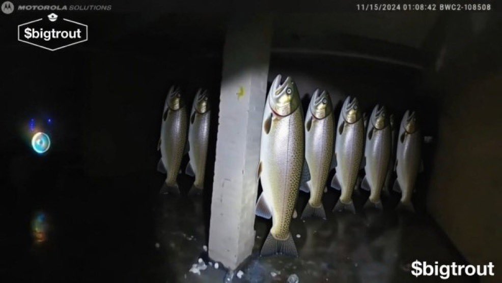 Promiser tweet media