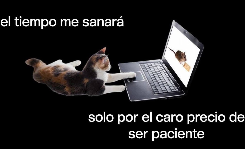 memes feos yo qué sé (@memefeos) on Twitter photo 