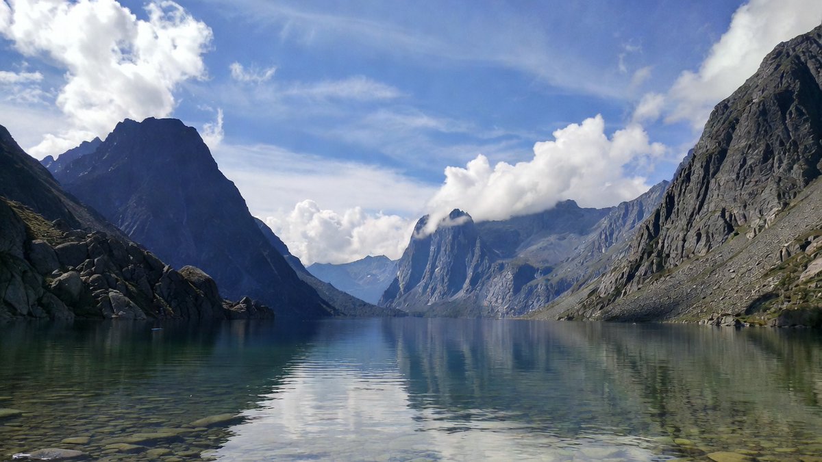 Scarlet Hunt tweet media