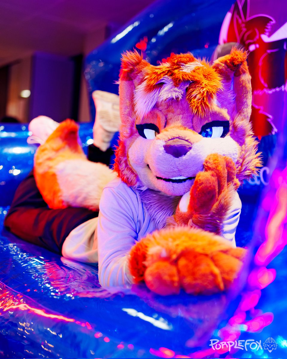 Freaky Apollo™ tweet media