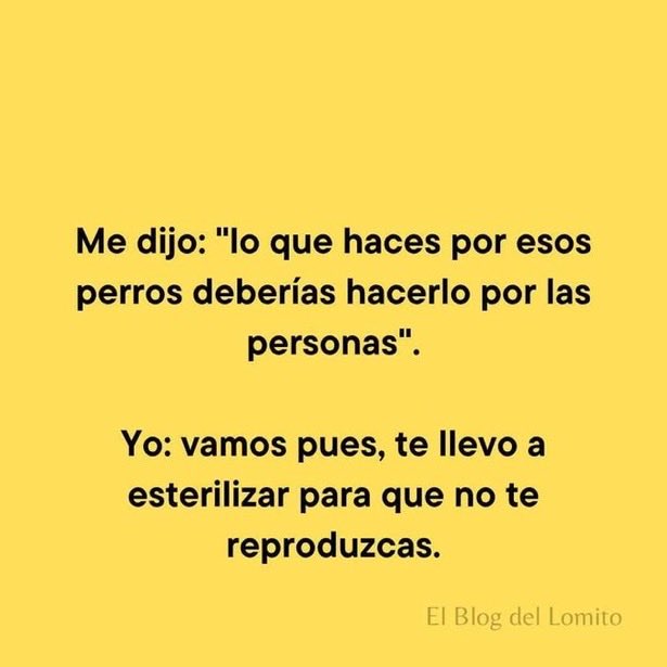 Fabiolacarolina (@fabiolacar49087) on Twitter photo 