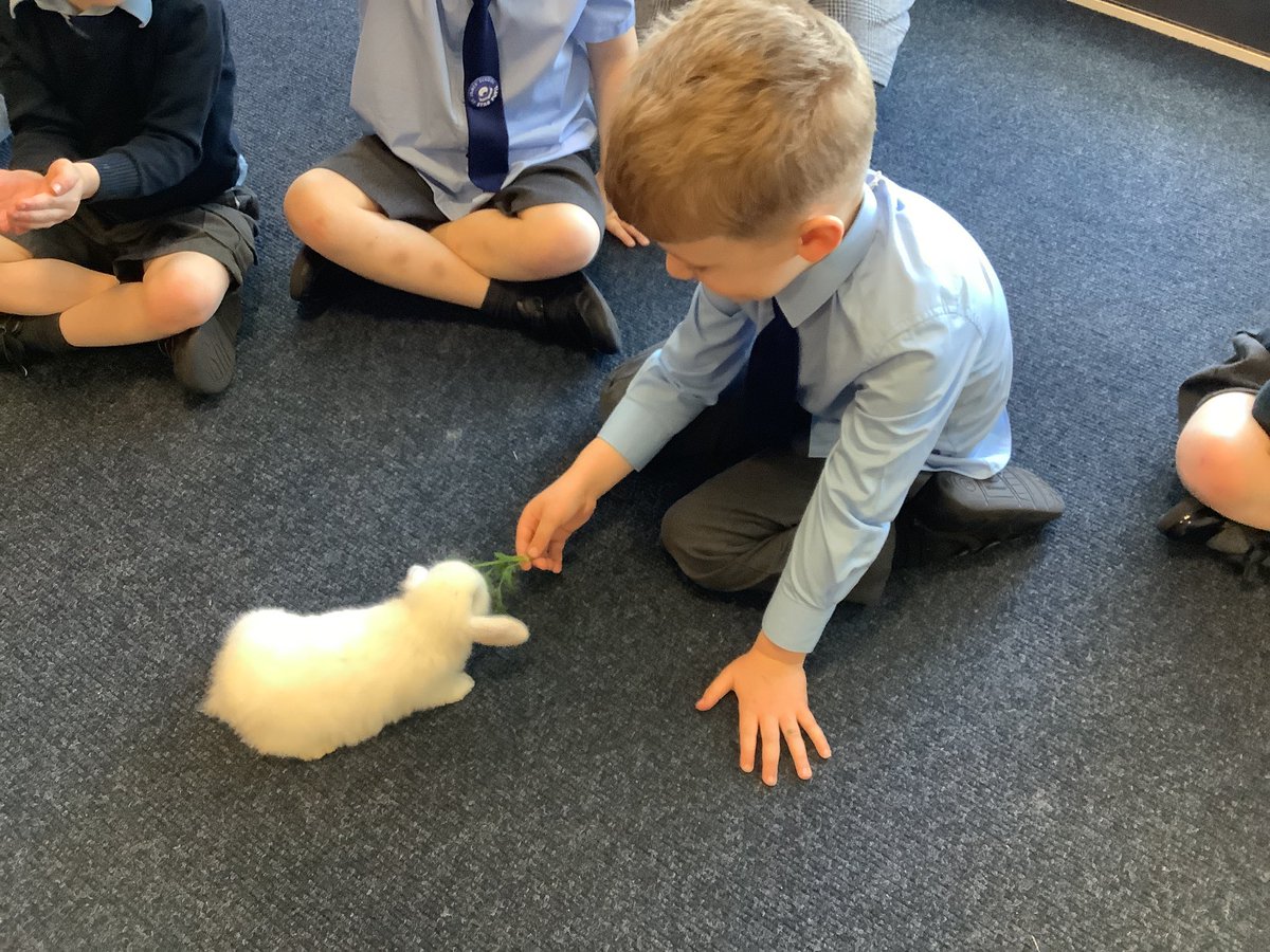 OSJ_Rec's tweet photo. We had some special visitors!🐰We learned where to keep pet rabbits and how to look after them. https://t.co/wKteZtZdIq