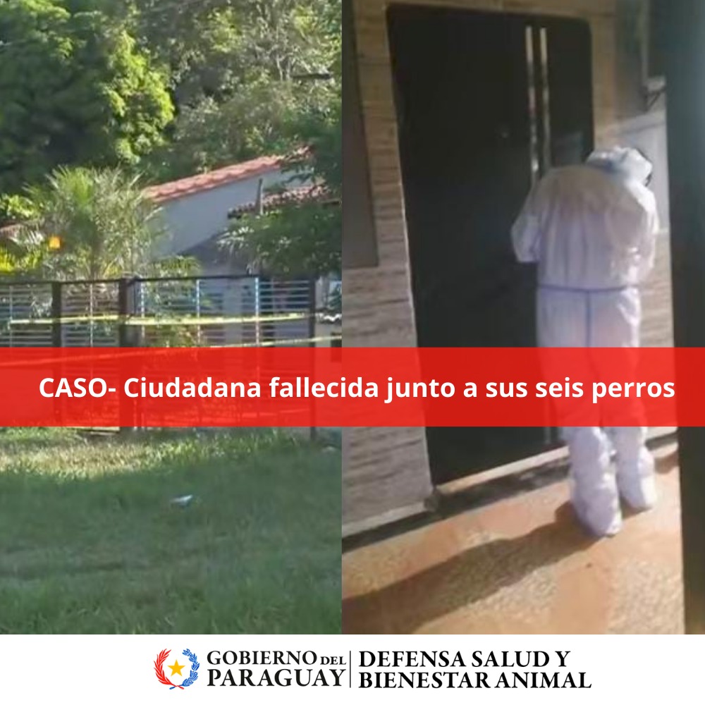 Dirección Nacional de Defensa Animal tweet media