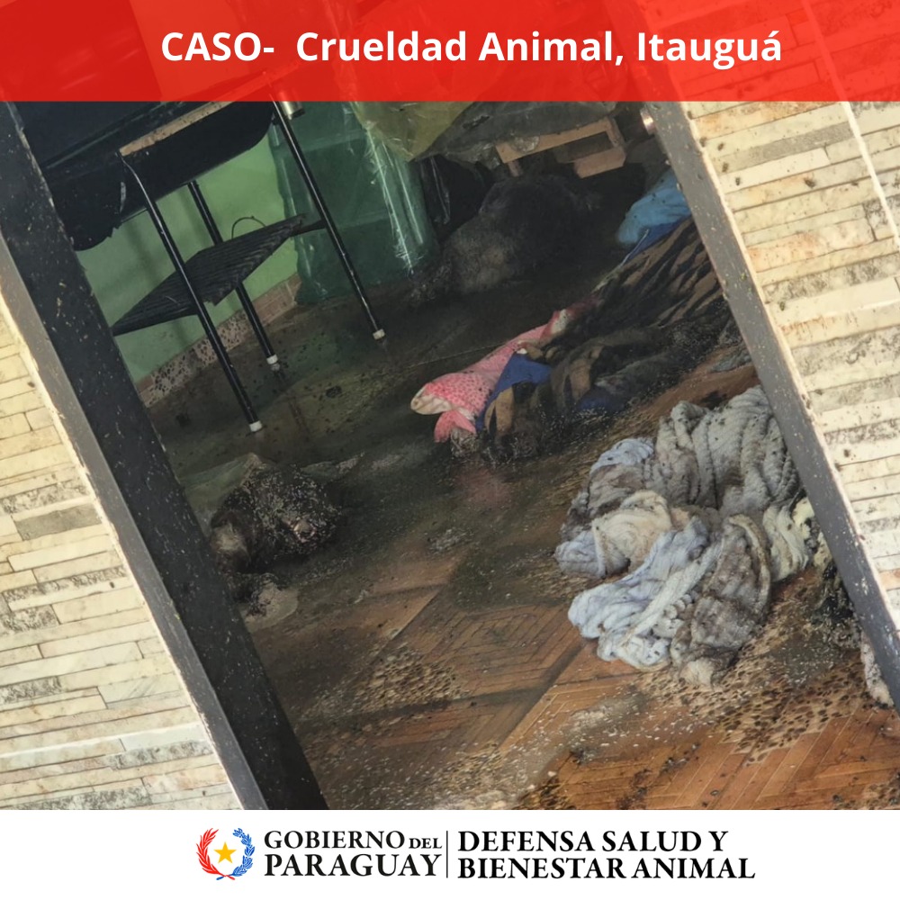 Dirección Nacional de Defensa Animal tweet media