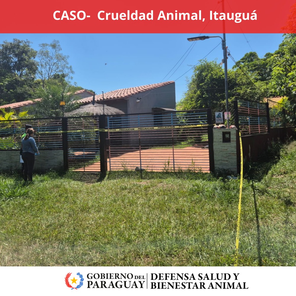 Dirección Nacional de Defensa Animal tweet media