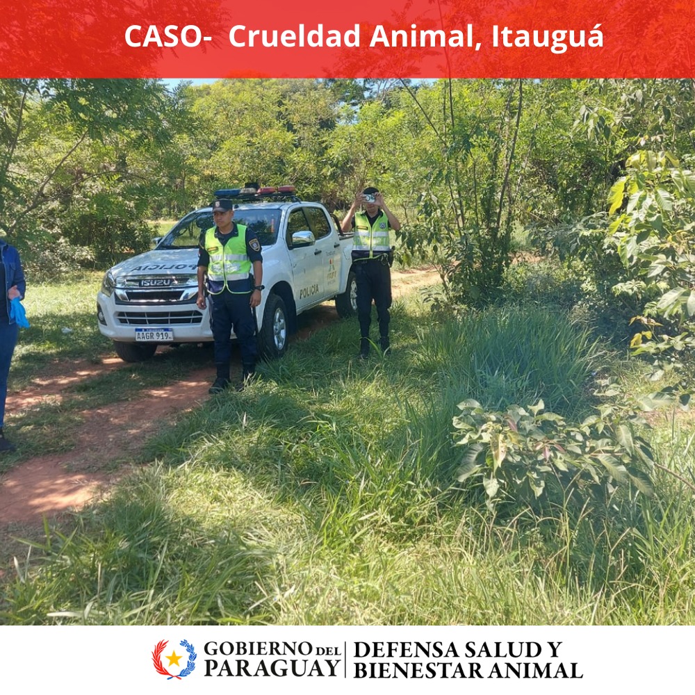 Dirección Nacional de Defensa Animal tweet media