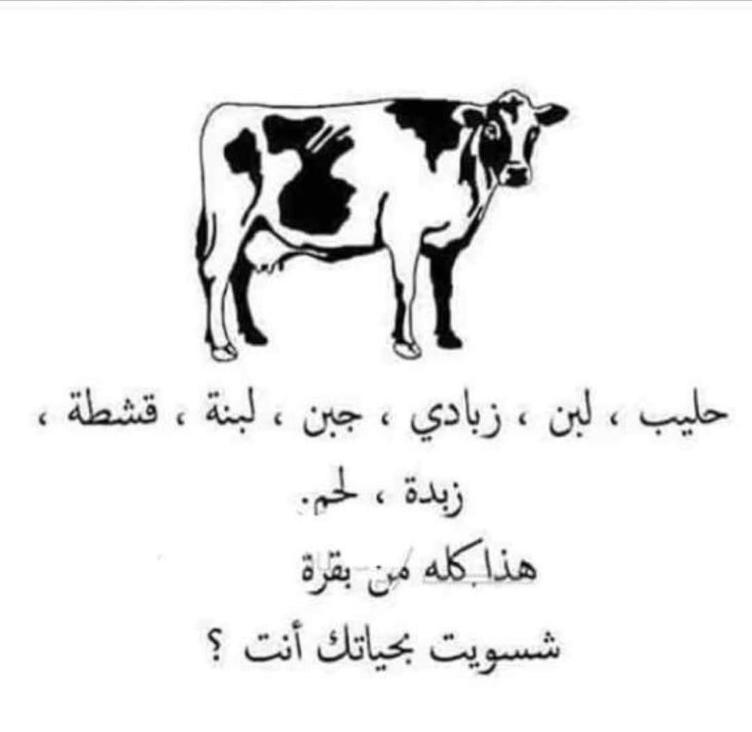 وتينツ tweet media