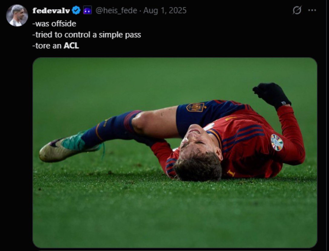 Berneese tweet media