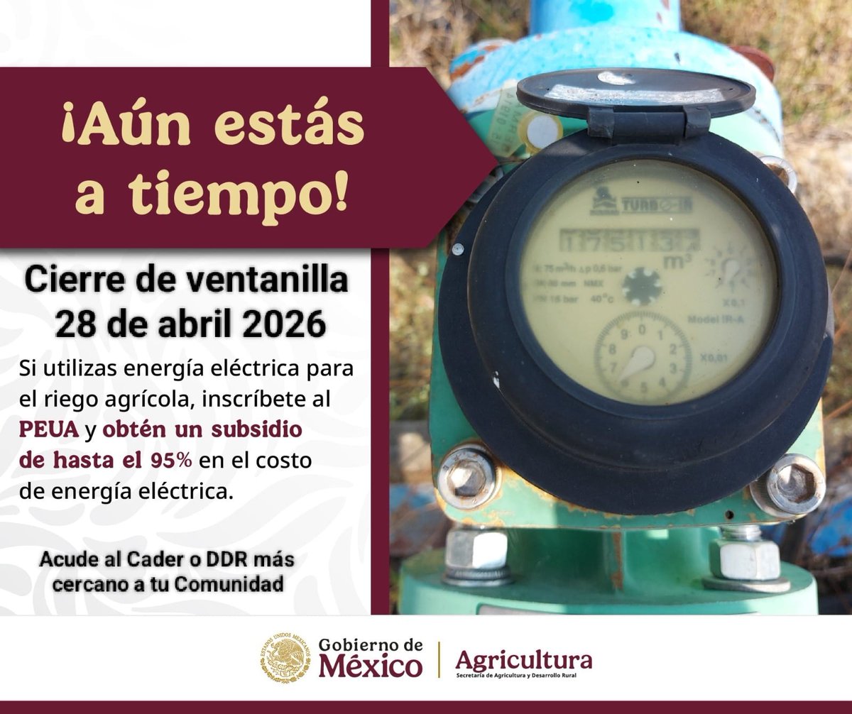 Amigo Productor, utilizas energía electrica para riego agrícola, actualiza tus datos ó inscribete al PEUA y obtén un subsidio de hasta el 95% en el costo de energía eléctrica, acude cuanto antes al CADER ó DDR más cercano antes del 28 de abril. <a href="/JulioBerdegue/">Julio Berdegué</a> <a href="/ismaelayala7/">Ismael Ayala Salazar</a>