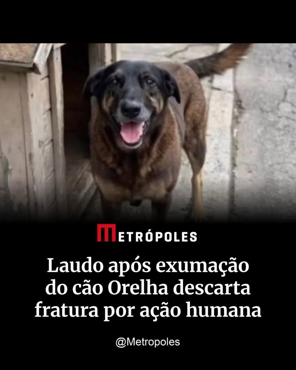 Não é o Léo Lins tweet media