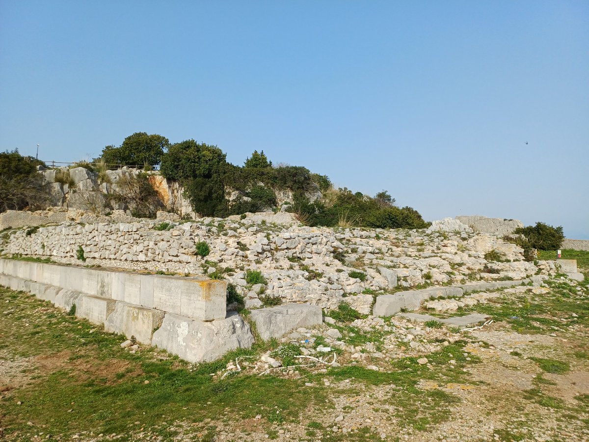 Carob Mill tweet media