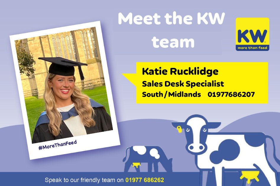 KW Feeds tweet media