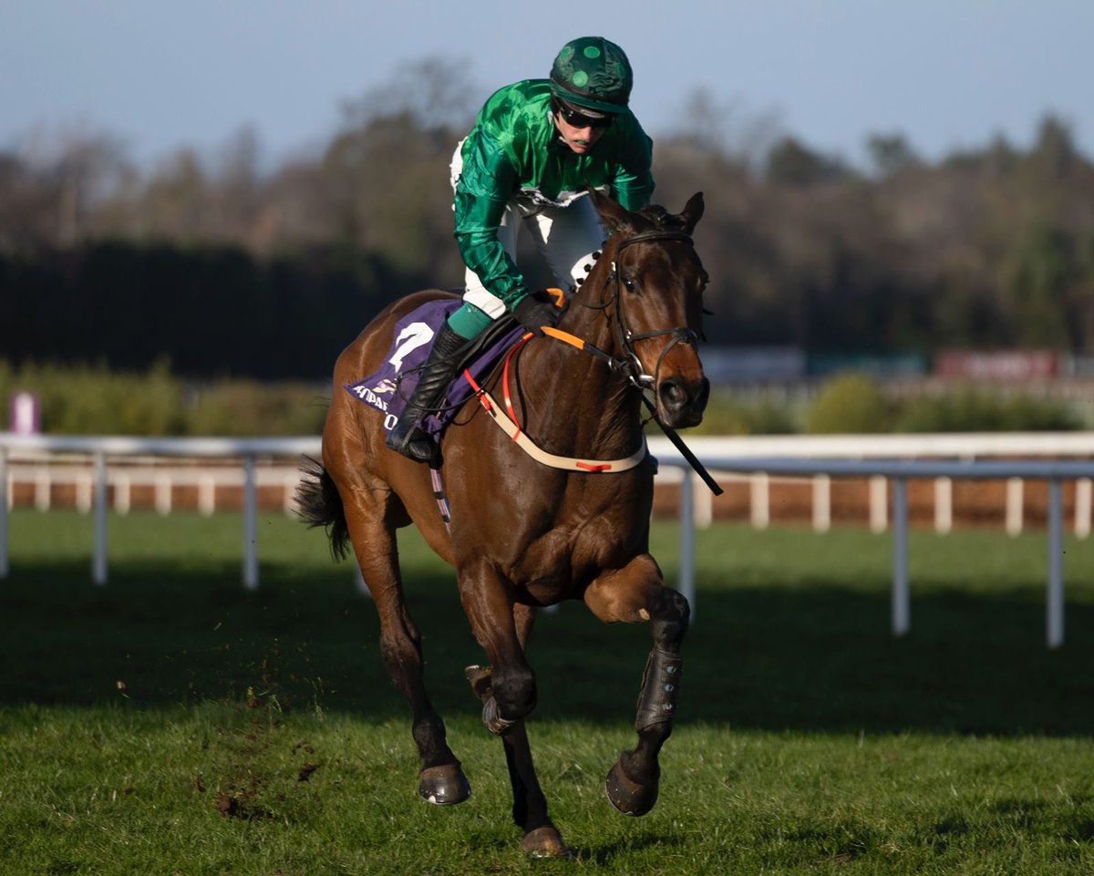 Leopardstown RC tweet media