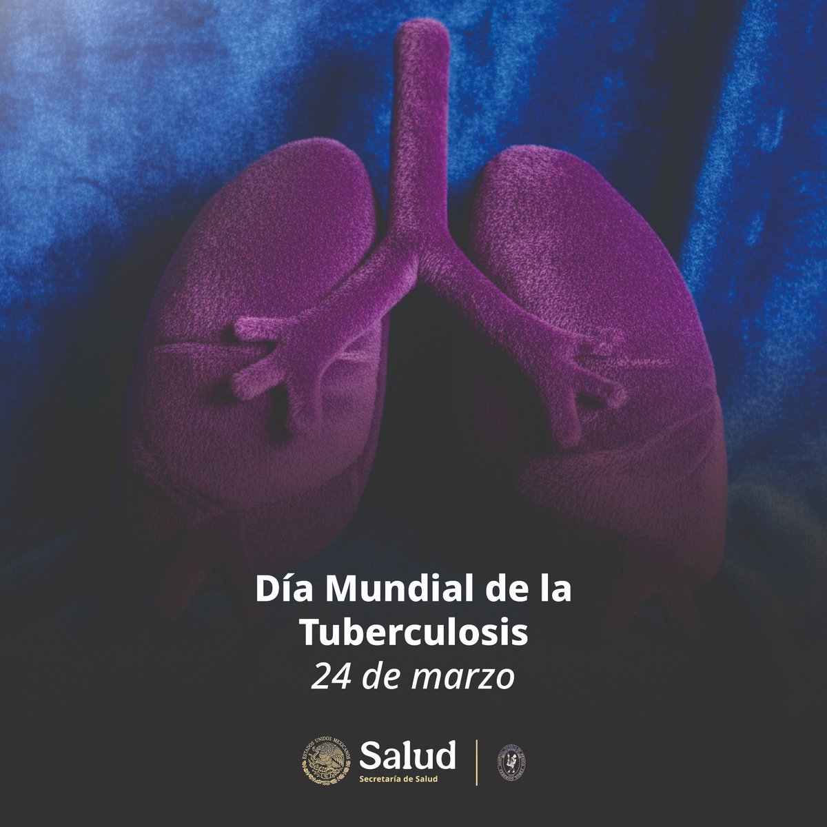 Hospital Infantil de México Federico Gómez tweet media