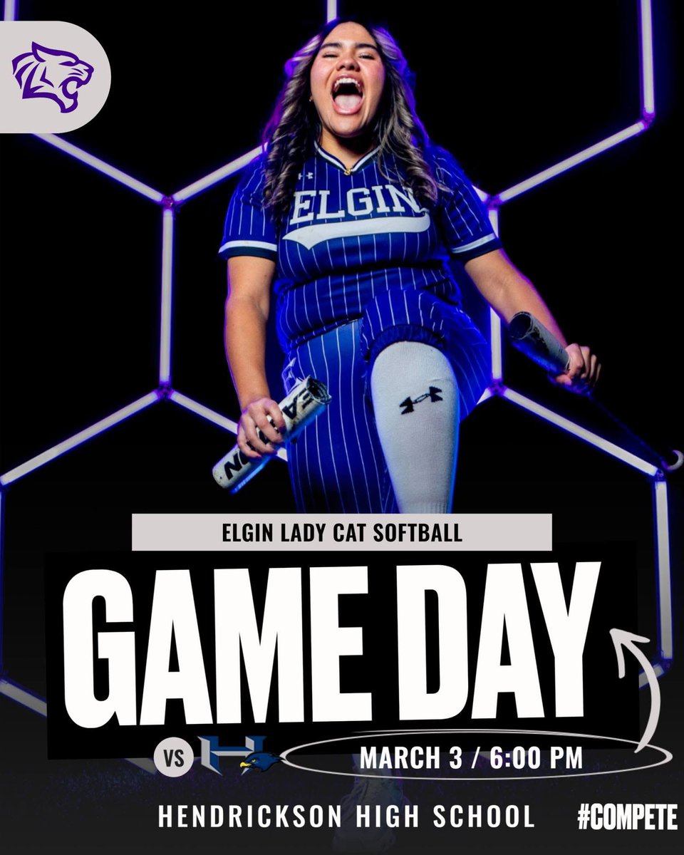 Elgin Softball tweet media