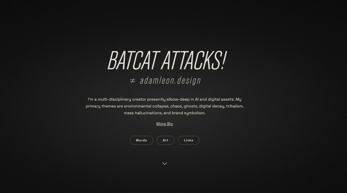 BatCatAttacks.eth 🛡️ tweet media