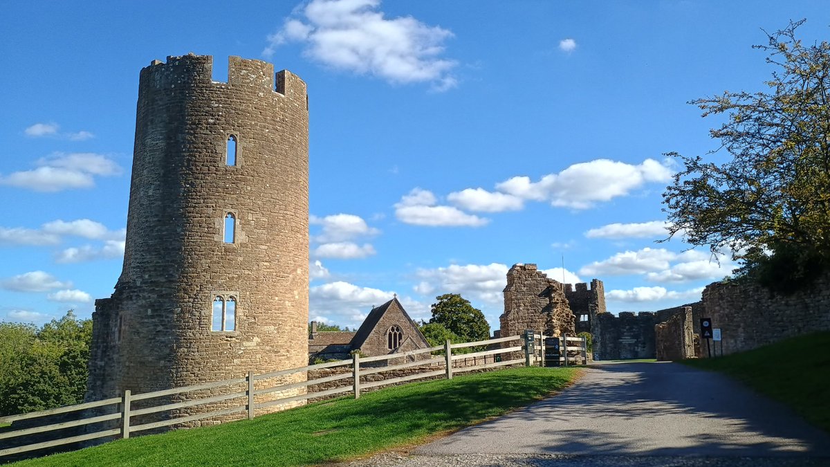 That Castle Fella tweet media