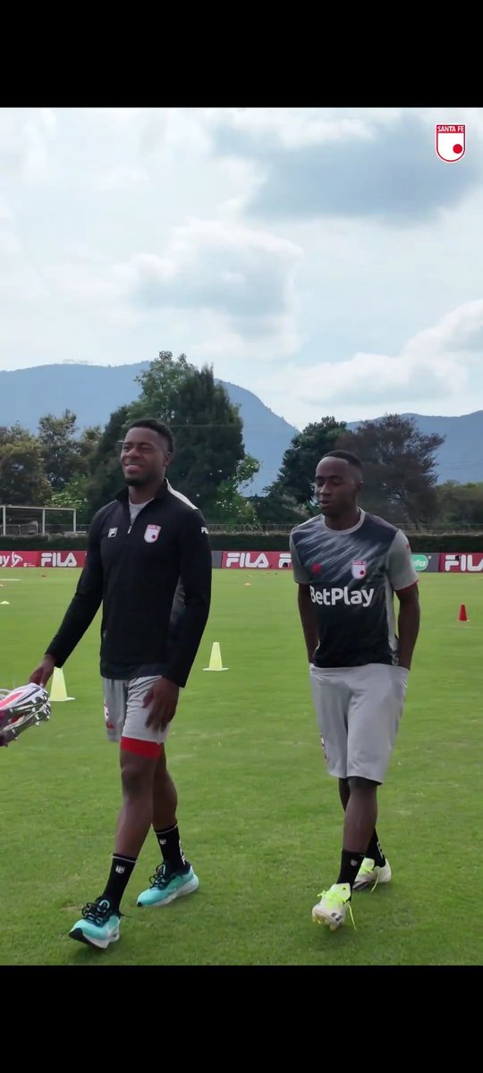 El Bus🇵🇱 tweet media