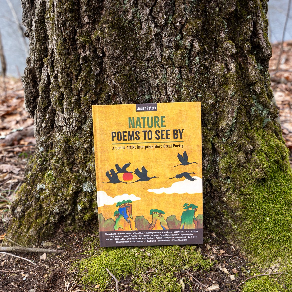 ✨GIVEAWAY TIME!✨

Win an early hardcover copy of NATURE POEMS TO SEE BY: A COMIC ARTIST INTERPRETS MORE GREAT POETRY by Julian Peters – signed &amp; with an original sketch by the author!

➡️Follow + retweet to enter

Ends Mon 3/9 at 11am EST
1 winner
US only

Good luck! 📖