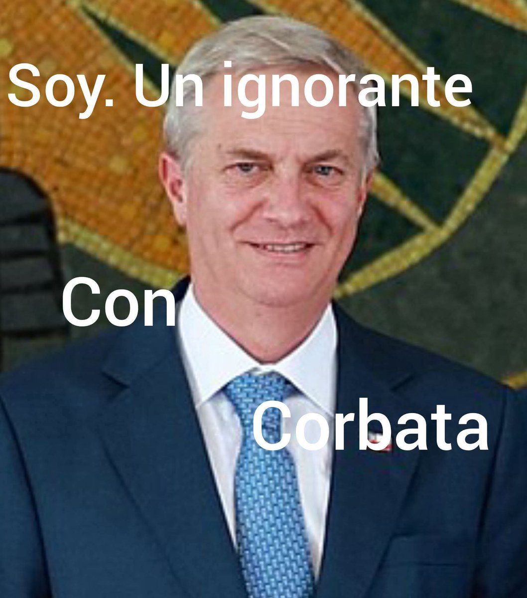 Mónica 🌳❤️ 🇨🇱 tweet media