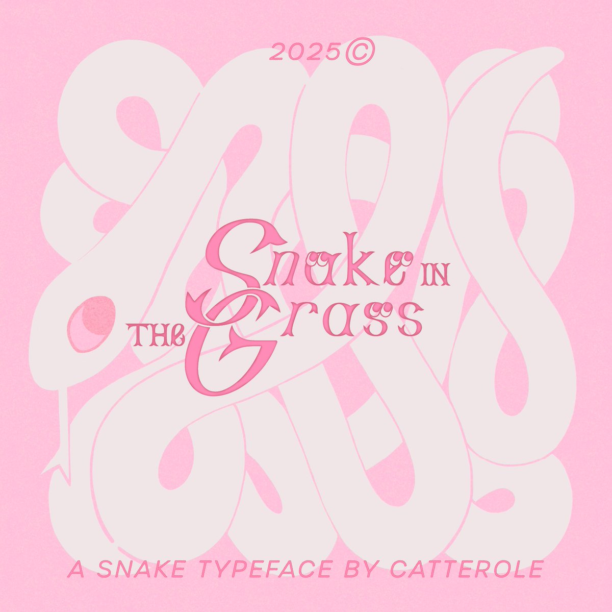 🥕.exe tweet media