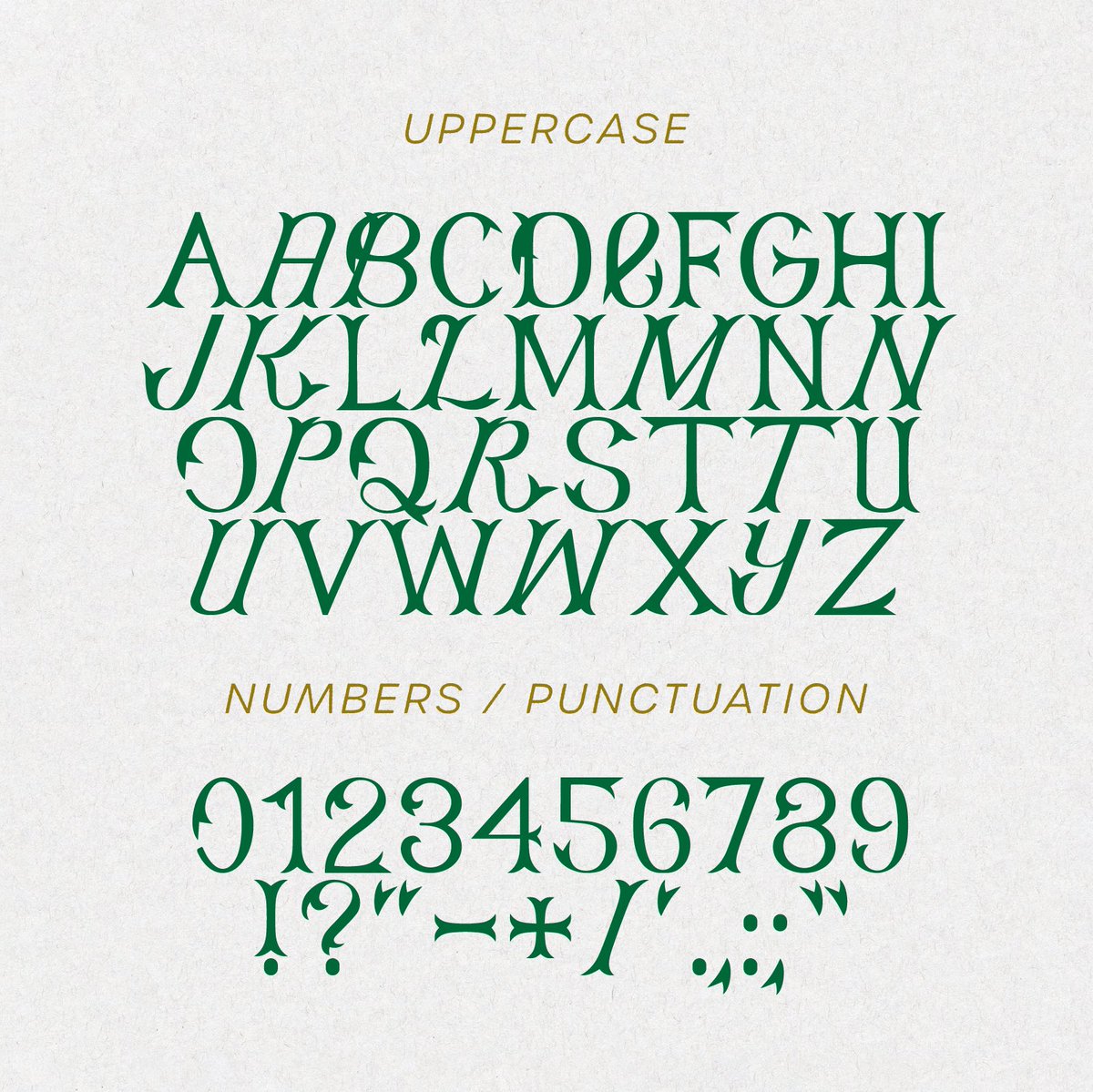 🥕.exe tweet media