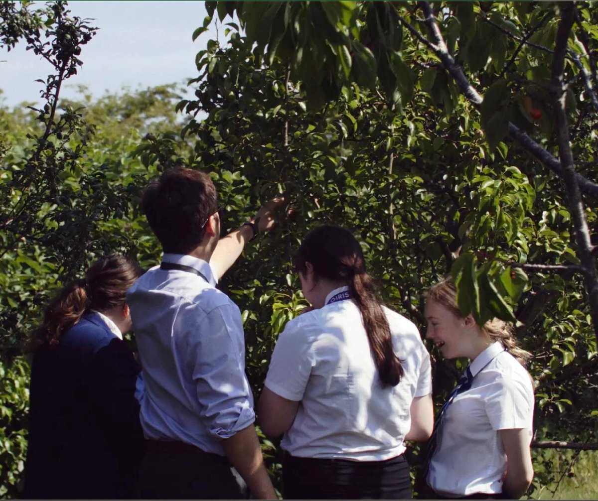 Research in Schools tweet media