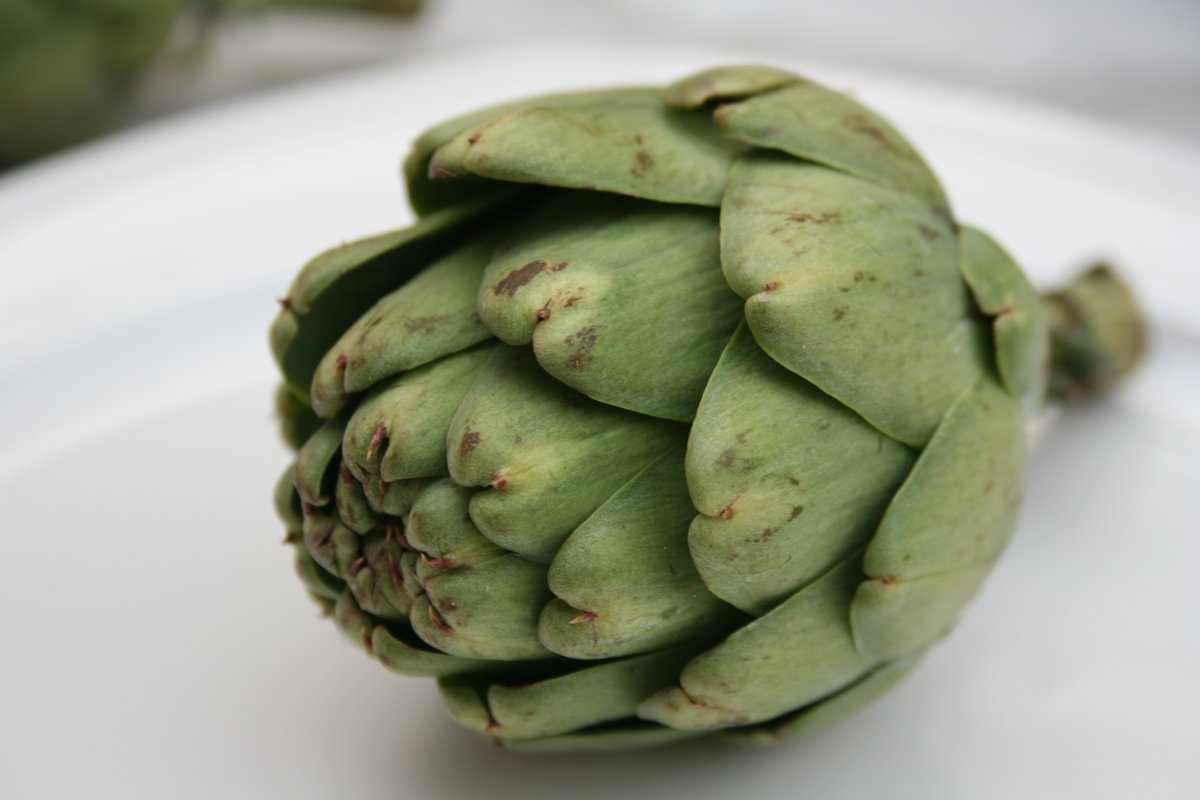 Are you overweight with non-alcoholic fatty liver disease? Lots of people are. Check out what this new study says about artichoke extract: tinyurl.com/buzfdaa7
#NAFLD #MASLD #LiverHealth #LiverDisease #artichoke #NAFLD #MASLD #WeightLoss