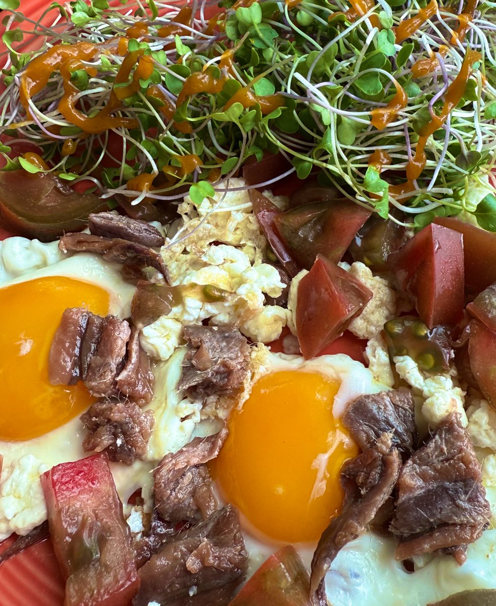 Basic Human Stuff tweet media