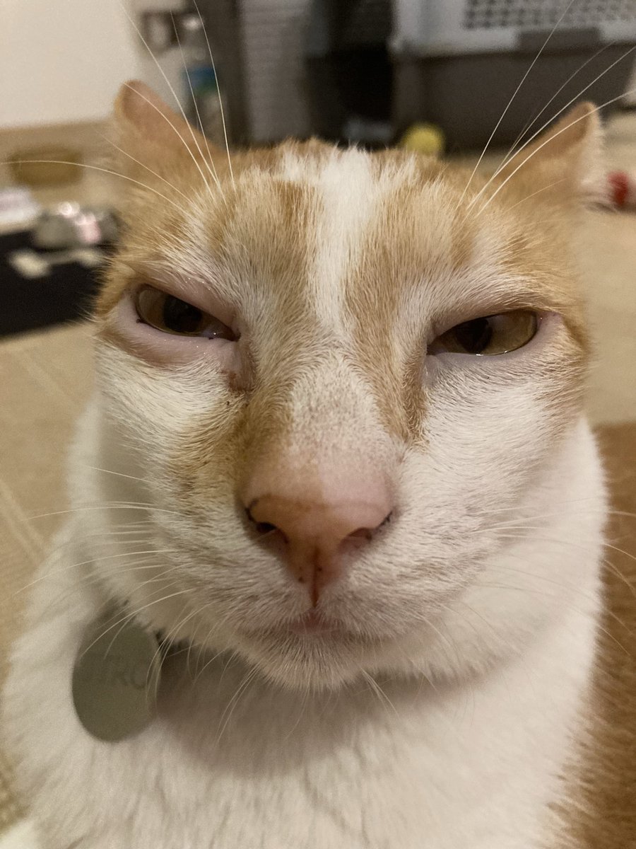 Uh...don’t zoom in, meow😬🫨🫣