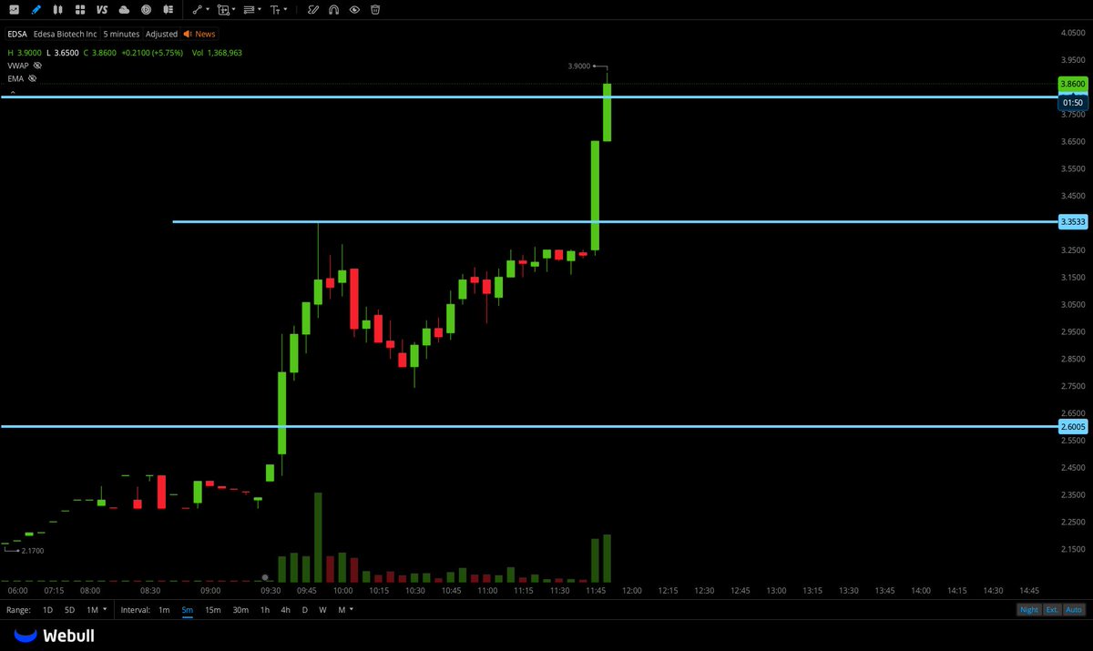 🐅hassytrades tweet media