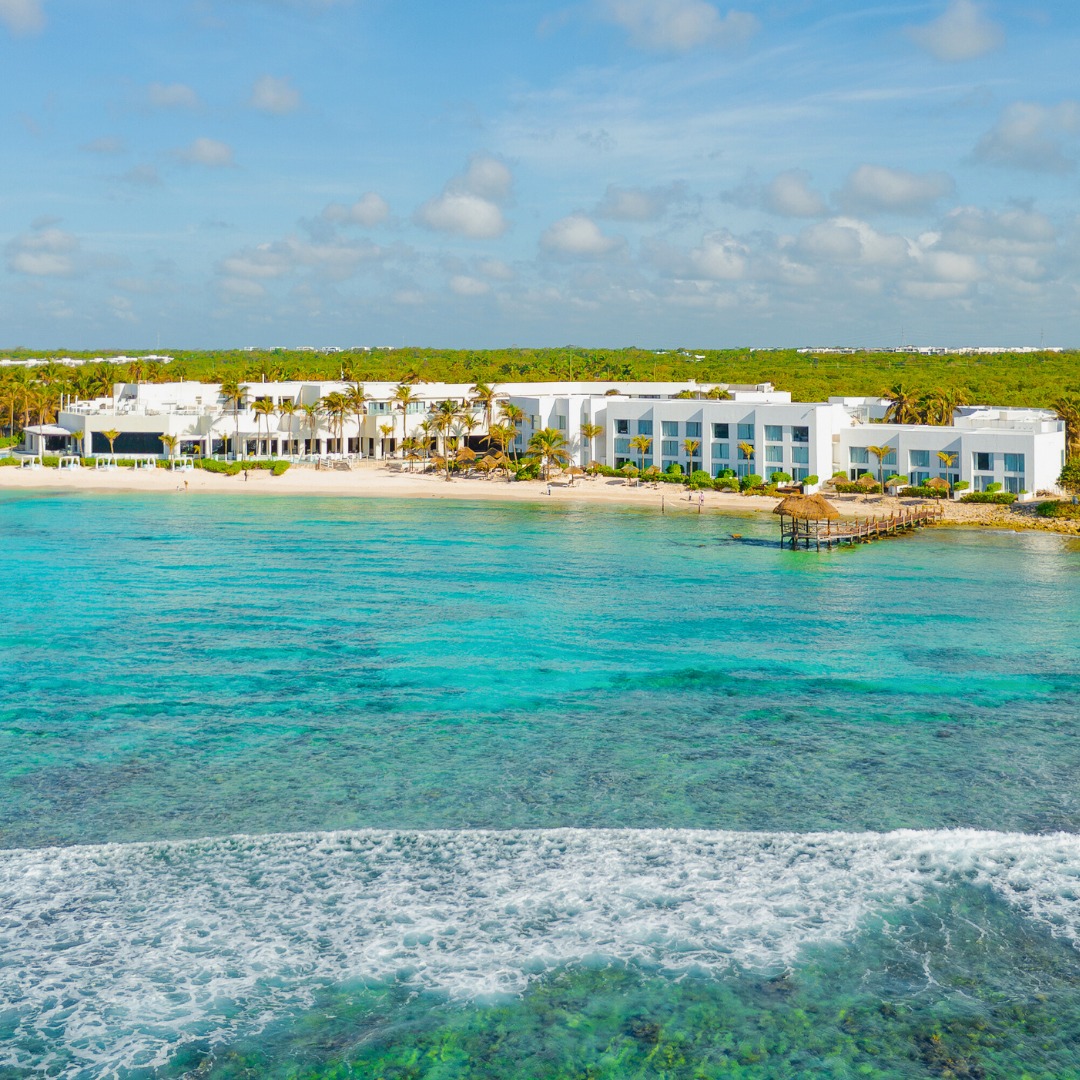 Oasis Hotels tweet media