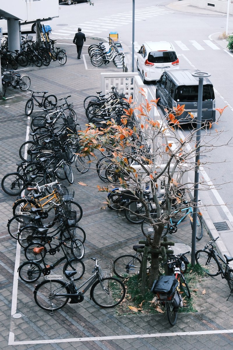 OKINAWA photography6902枚目 #tokyocameraclub