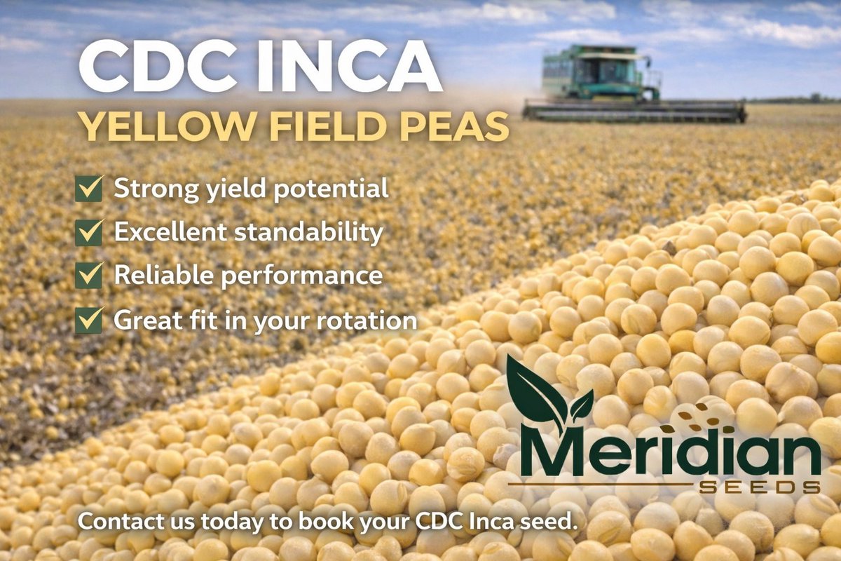 Meridian Seeds tweet media