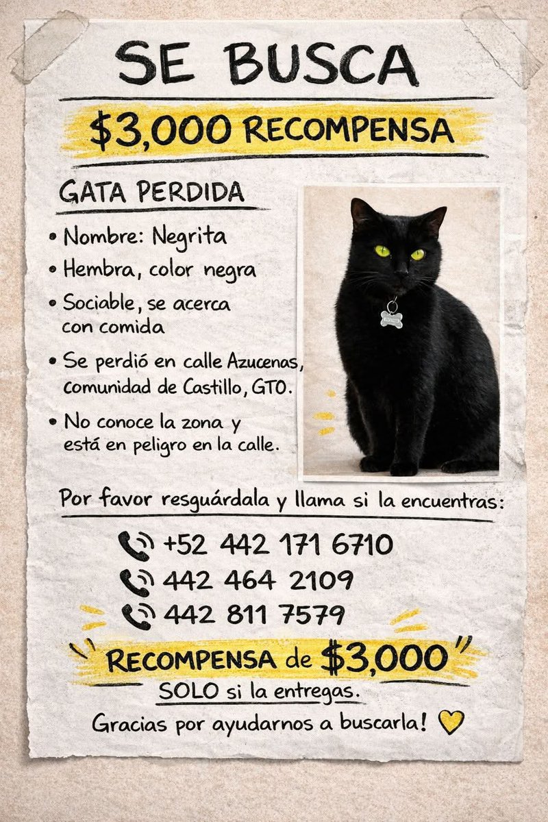 ile0719's tweet photo. Ayúdanos a encontrarla 🙏🏻
#Queretaro #corregidora #castilloguanajuato https://t.co/YfGJjnc2Ke
