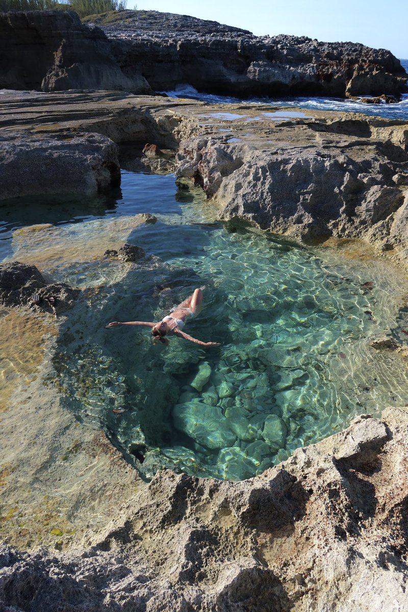 sarah˚ ༘♡ ⋆｡˚ ❀ tweet media