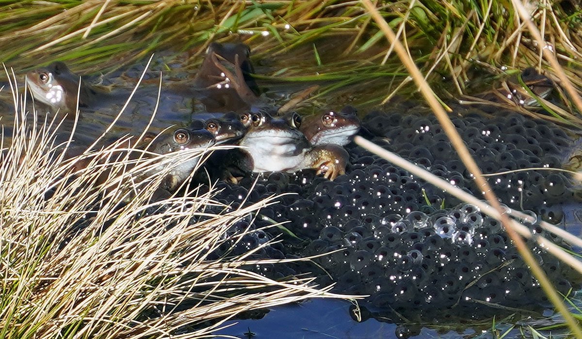 Nick Ray tweet media