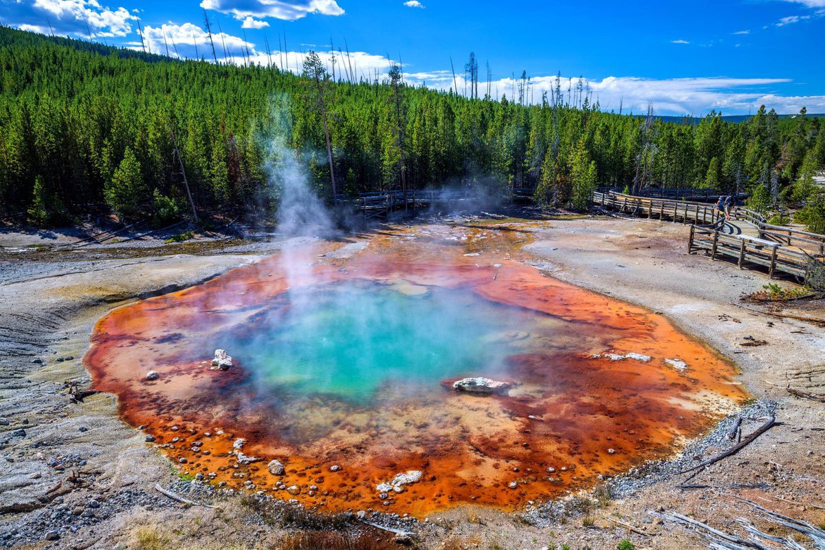 Faith Carter tweet media