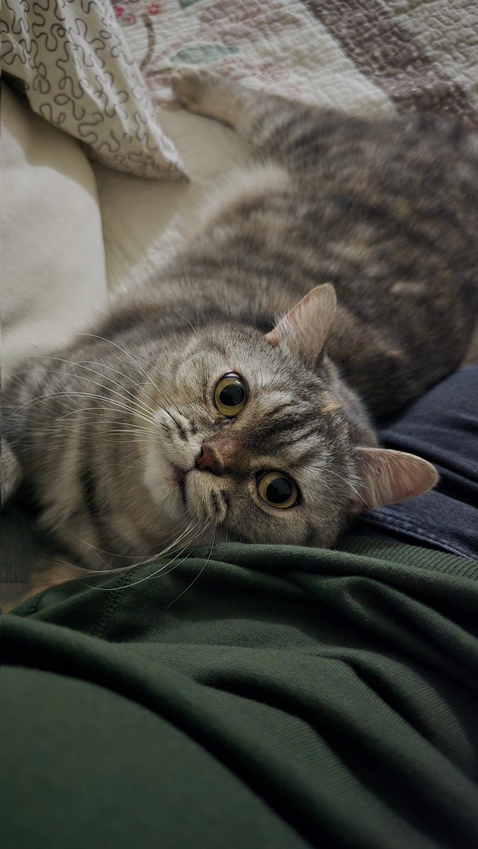 ช่วงนี้มันเป็นอะรัย ชอบมาทิ้งตัวใส่ชั้น