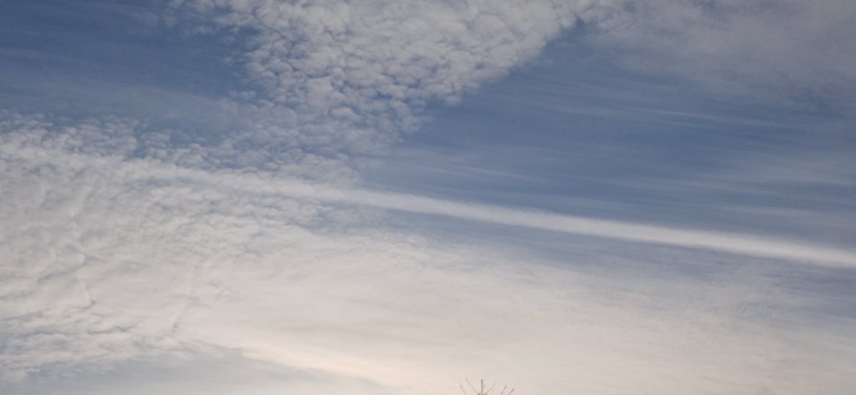 Aurora Cesari tweet media