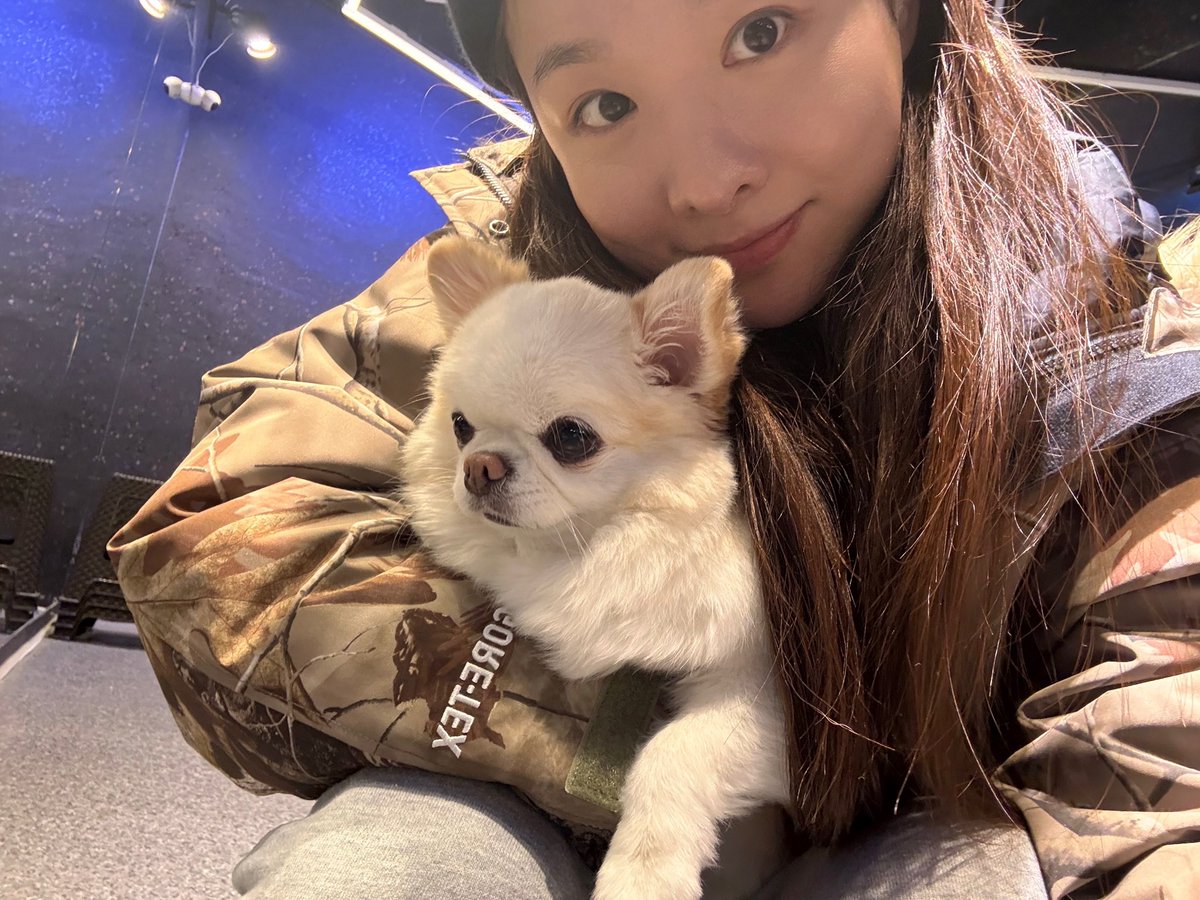 솔지 Solji tweet media