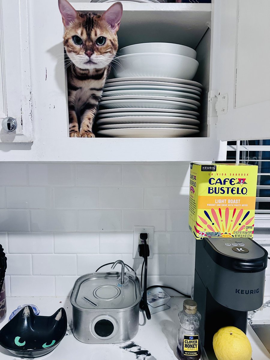 Kiersten Warren tweet media