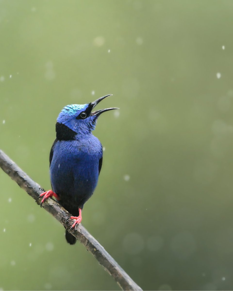 NikonUSA tweet media