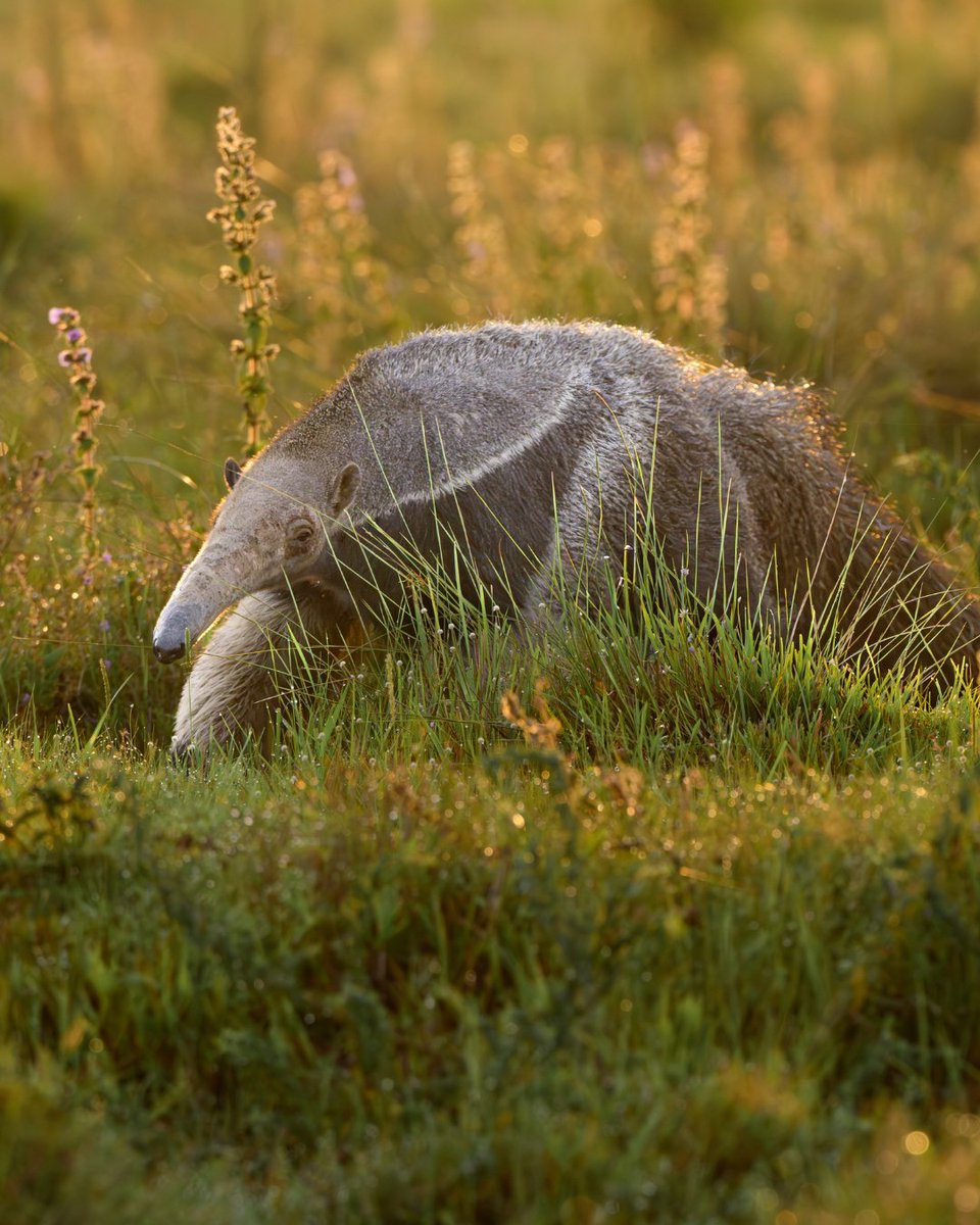 NikonUSA tweet media