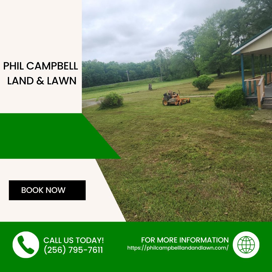 Outdoor spaces deserve attention just as much as interiors. With thoughtful landscaping, we focus on clean layouts that support long-term use. Call us today.
#Landscaping
philcampbelllandandlawn.com/contact