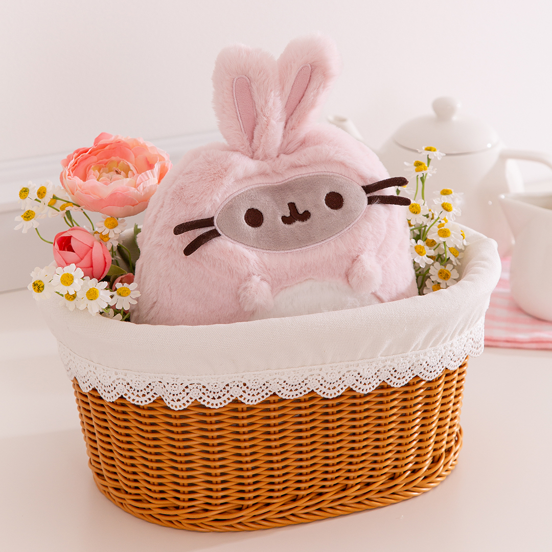 Pusheen the cat tweet media