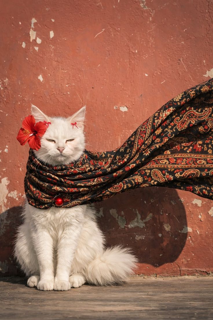 reflectionofeyes tweet media