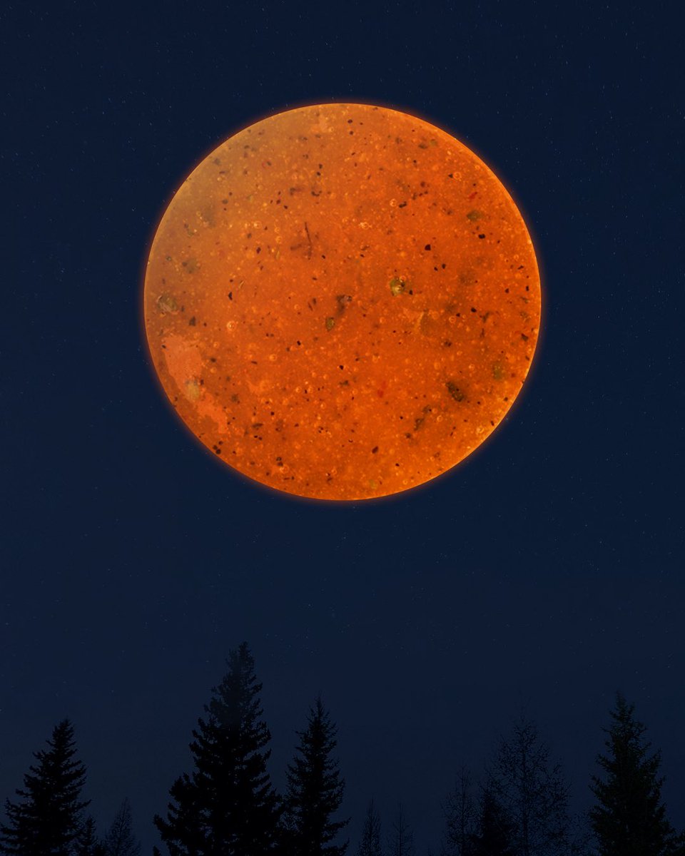 Chipotle tweet media