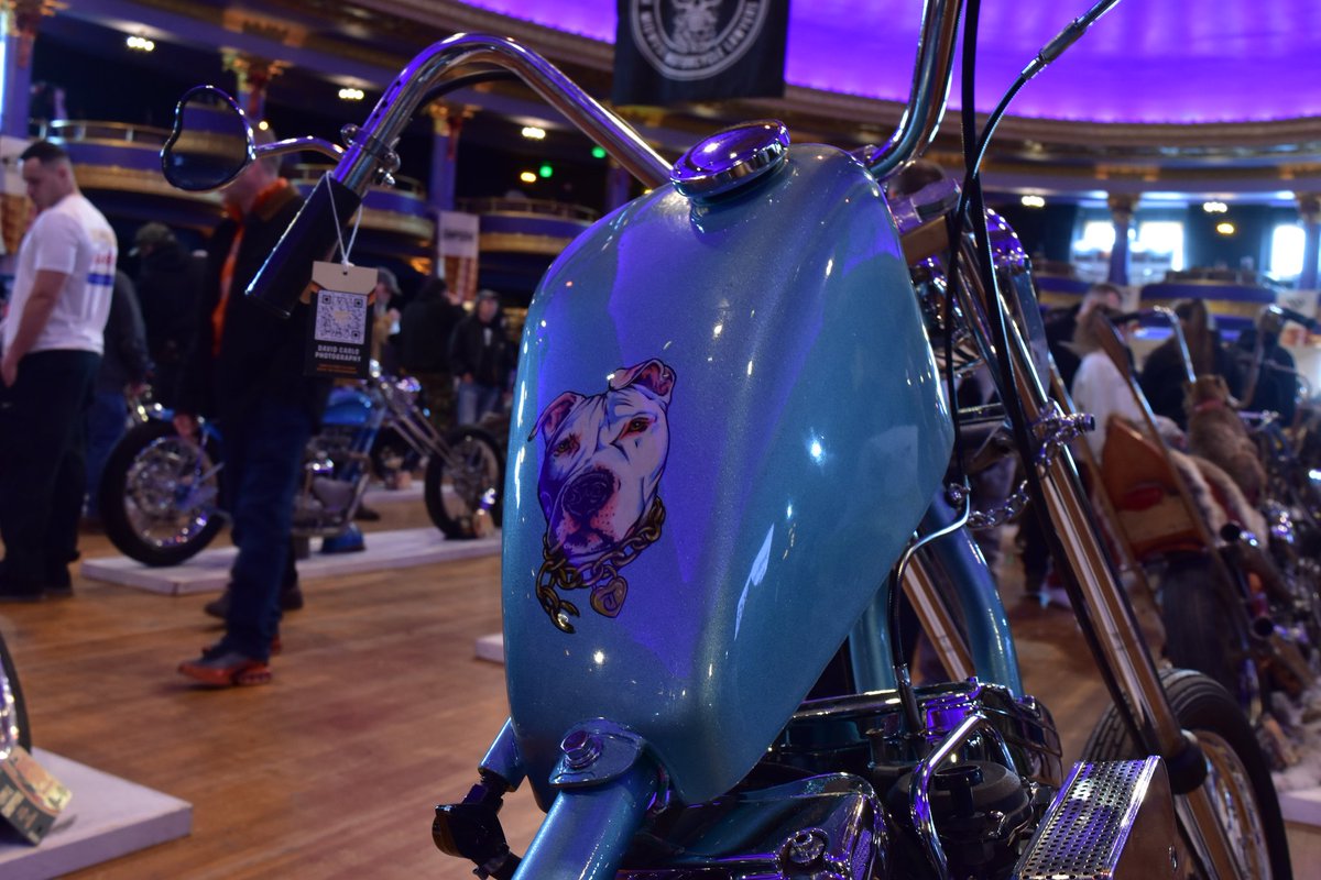 BikesN_Boobs's tweet photo. #mamatried #bikesnboobs #flatoutfriday #therave #chopper https://t.co/ZTPOR64ow8